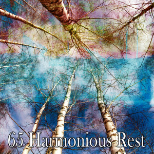 ดาวน์โหลดและฟังเพลง Silky Smooth Sleep พร้อมเนื้อเพลงจาก Dormir