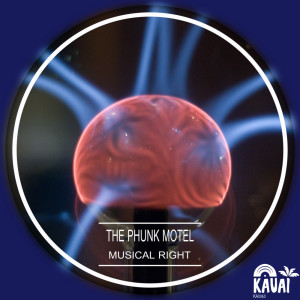 ดาวน์โหลดและฟังเพลง Musical Right (Instrumental) พร้อมเนื้อเพลงจาก The Phunk Motel