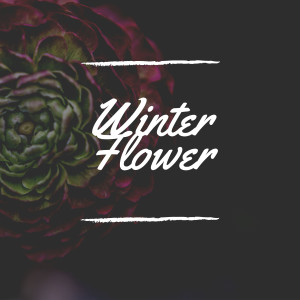 Album Winter Flower from Various