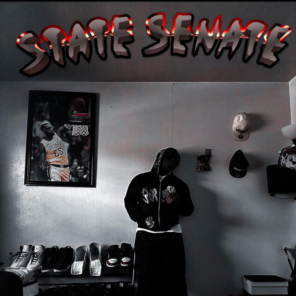 STATE SENATE (Explicit)