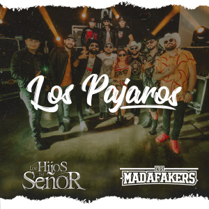收听Los Hijos del Señor的Los Pajaros歌词歌曲
