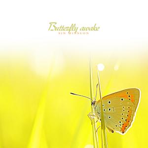 Shin Minseon的专辑Butterfly