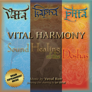 Listen to Sun Salutation Flow (Vata) (feat. Jai Uttal) song with lyrics from Yuval Ron