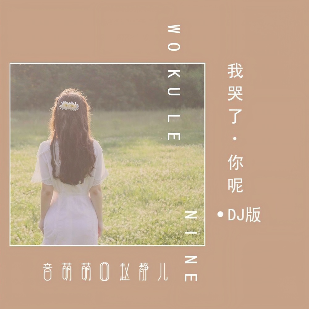 我哭了，你呢 (DJ版伴奏)