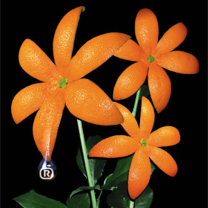 ORANGE RANGE的專輯Flower