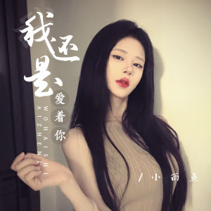 Album 我还是爱着你 oleh 小雨点