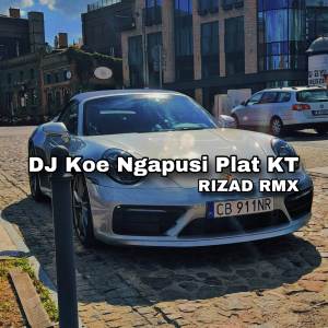 Risad Remix的專輯DJ KOWE NGAPUSI PLAT KT (REMIX)