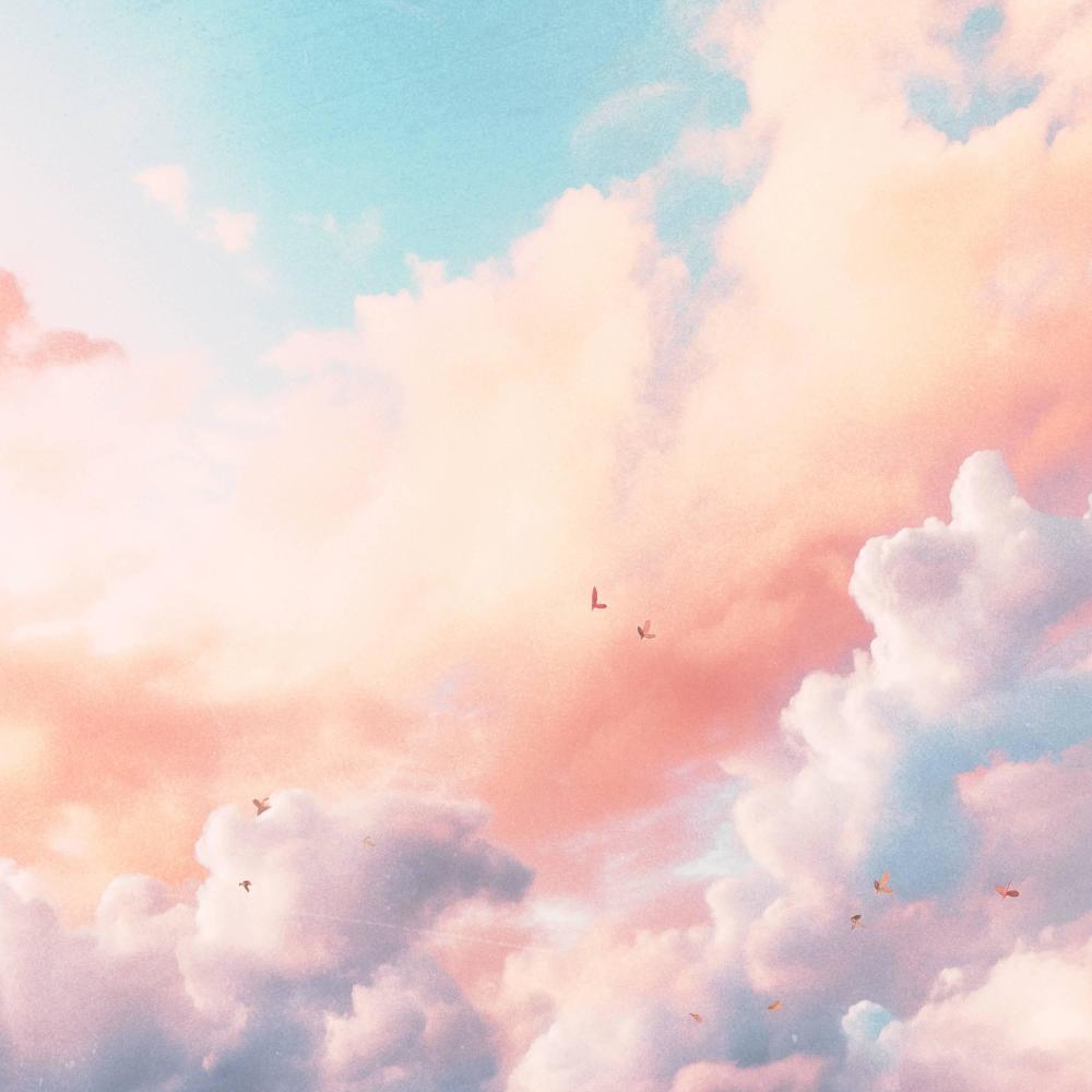 Sunshine After The Rain