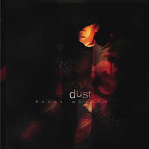 收聽Peter Murphy的Fake Sparkle Or Golden Dust?歌詞歌曲