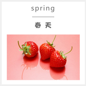 收听吴俊紒的去丽江 (伴奏)歌词歌曲