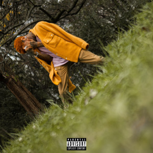 Album Silverback (Freestyle) (Explicit) from NicX