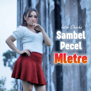 收听Intan Chacha的Sambel Pecel Mletre歌词歌曲