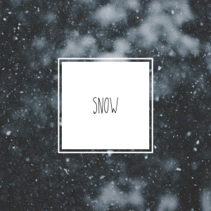 lofi lemur的專輯Snow