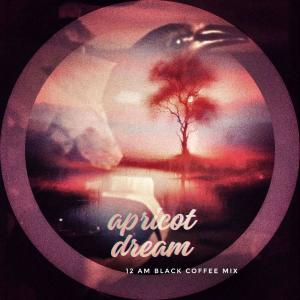 Egrets的專輯Apricot Dream (12am Black Coffee Mix)