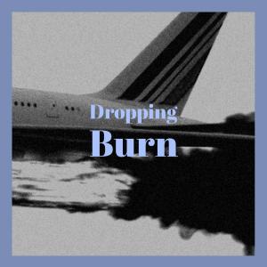 收听Ahad Frang的Dropping Burn歌词歌曲