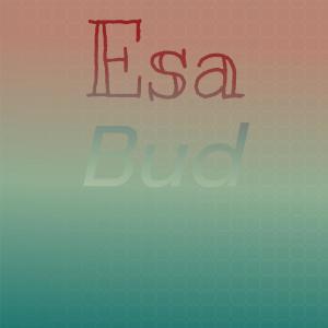 Various Artists的專輯Esa Bud