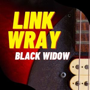 Album Black Widow from Link Wray