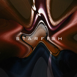 Album Starfish from Techno Peaktime Hunter