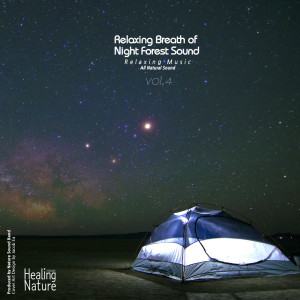 收聽힐링 네이쳐 Nature Sound Band的Night Night Night歌詞歌曲