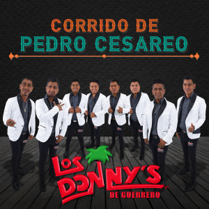 Listen to Corrido De Pedro Cesareo song with lyrics from Los Donny's De Guerrero