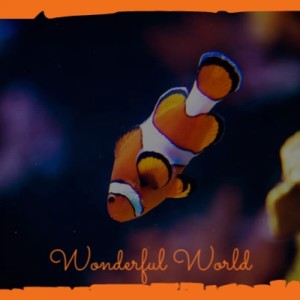 收聽Herman's Hermits的Wonderful World歌詞歌曲