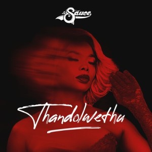 Listen to Thandolwethu song with lyrics from LaSauce