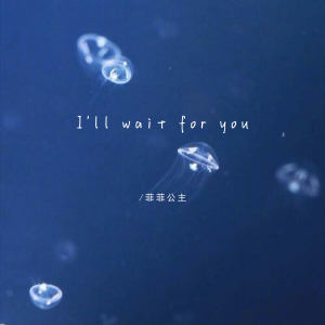 Listen to I'll wait for you song with lyrics from 菲菲公主