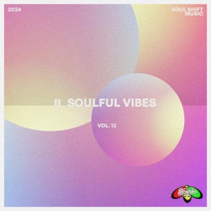 群星的專輯Soulful Vibes Vol. 12