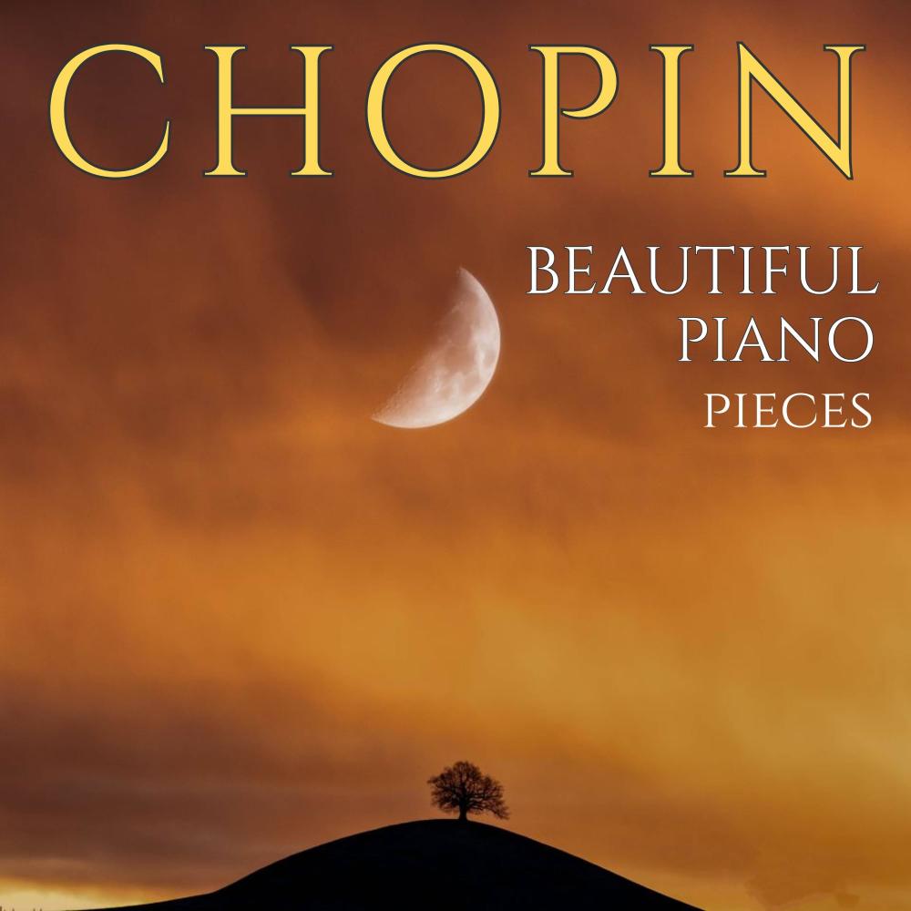 Prelude No.20 in C Minor, Op.28: Frederic Chopin