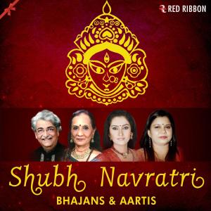 Listen to Hai Gaaje Sheri Ne Por song with lyrics from Hema Desai