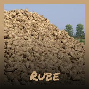 ดาวน์โหลดและฟังเพลง Mammoth Consumption พร้อมเนื้อเพลงจาก Stina Shorn