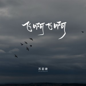 Album 飞啊飞啊 from 赵政豪