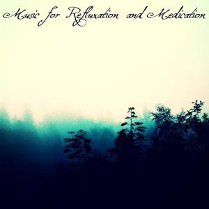 Album Music for Refluxation and Medication (Explicit) from Various