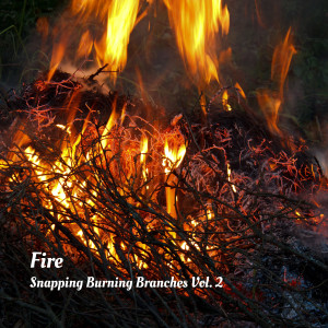 Fire: Snapping Burning Branches Vol. 2