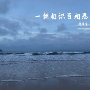 一朝相识百相思 dari 魏辰宇