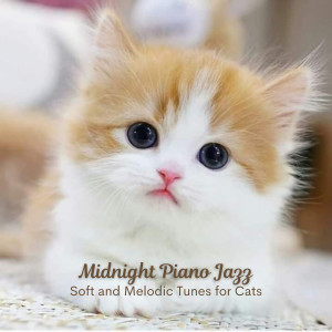 Album Midnight Piano Jazz: Soft and Melodic Tunes for Cats from Amazing Jazz Piano Background