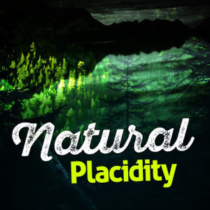 อัลบัม Natural Placidity ศิลปิน Nature Sounds 2015