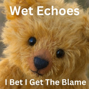 收聽Wet Echoes的I Bet I Get the Blame歌詞歌曲