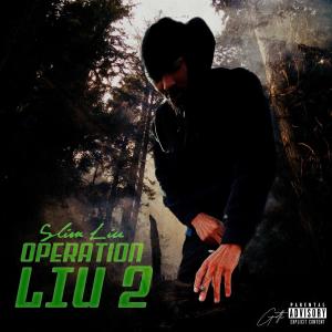 ดาวน์โหลดและฟังเพลง Rich Fits (feat. Mike Gotti & sirQuincy) (Explicit) พร้อมเนื้อเพลงจาก SlimLiu