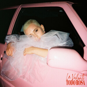 收聽La Valenti的Todo Rosa歌詞歌曲