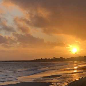 Listen to Sunrise song with lyrics from Cam Canaple