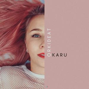 ดาวน์โหลดและฟังเพลง Orkideat พร้อมเนื้อเพลงจาก Karu