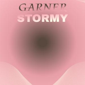 Various的专辑Garner Stormy