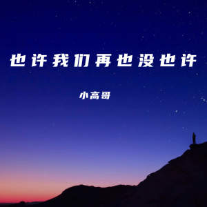 Album 也许我们再也没也许 from 小高哥