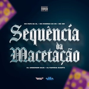 Dj anderson silva的專輯Sequência De Macetação