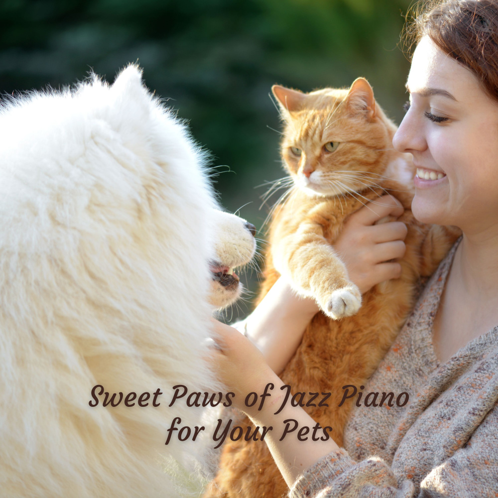 Pet-Friendly Piano Jazz