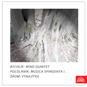 Listen to I. for Double-bass and Wind Quintet song with lyrics from Foerster Wind Quintet