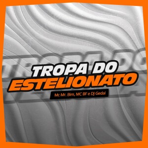 Mc Mr. Bim的專輯TROPA DO ESTELIONATO (Explicit)