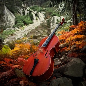 Emotional Healing Intrumental Academy的專輯Relaxation Orchestra: Soft Cadence Symphony