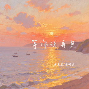 黄晨晨的专辑等你说再见
